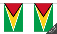 Guyana Buntings
